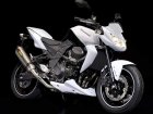 2010 Kawasaki Z750 Urban Sports Special Edition